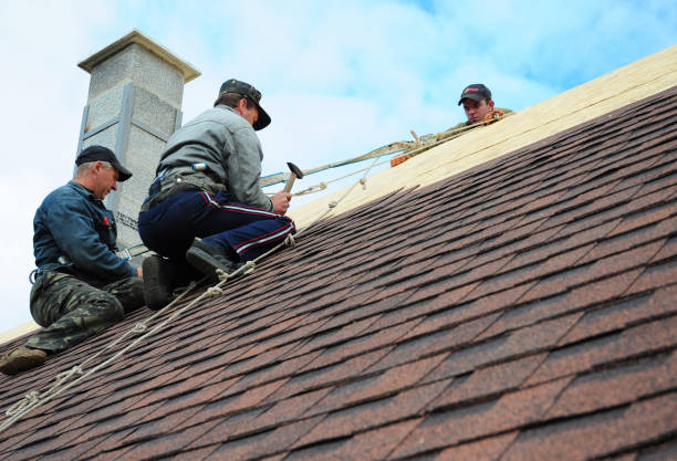 Best Commercial Roofing Services  in North Oaks, MN